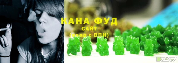 стаф Краснослободск