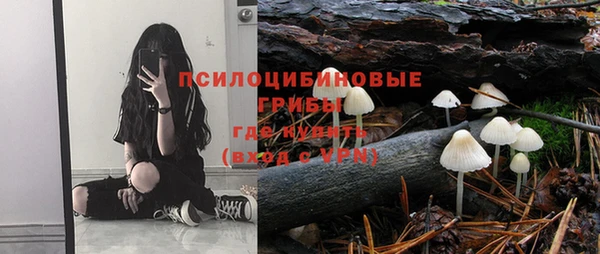 молекула духа Кулебаки
