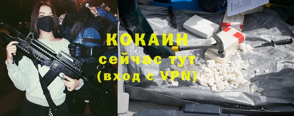 молекула духа Кулебаки